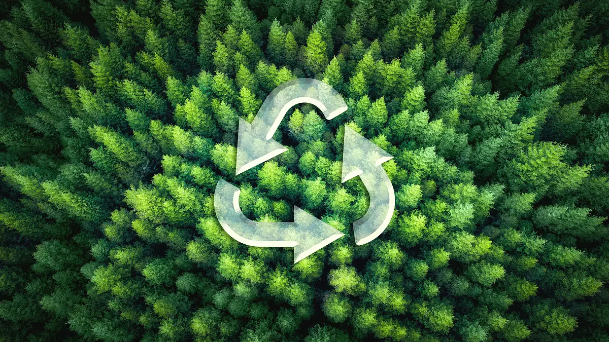 <b>Chinese companies support Malaysia&#039;s green ener</b>