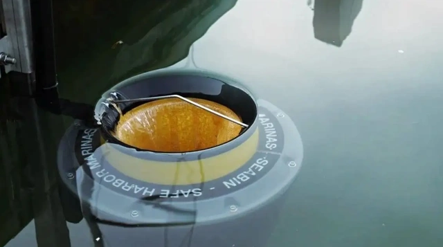 Marine litter crisis and the birth of "ocean trash can"