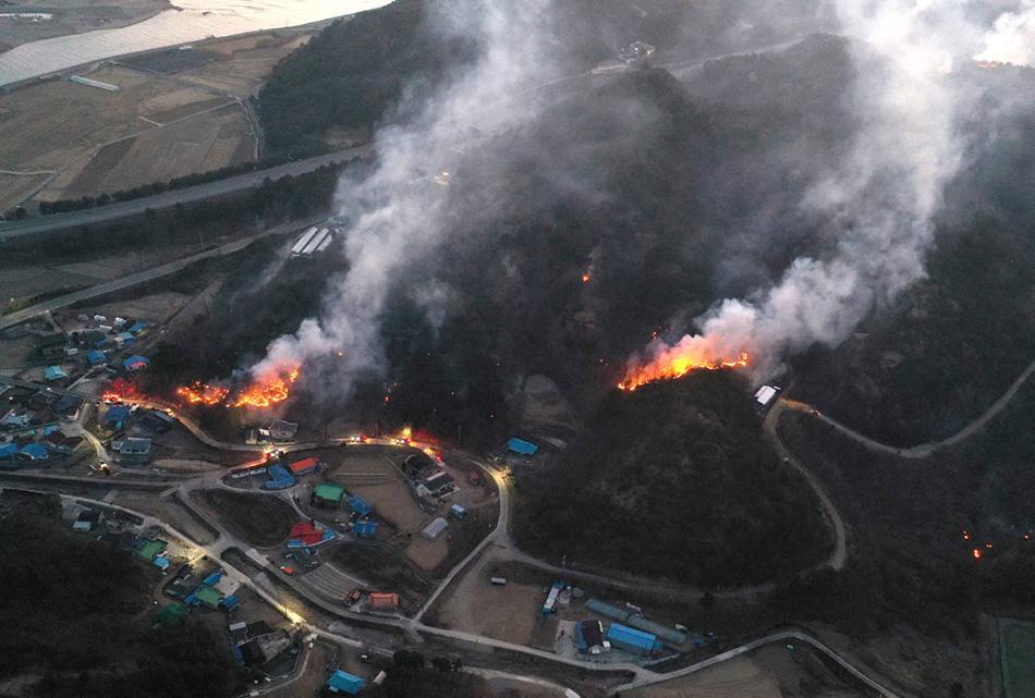 Large scale wildfires in South Korea result in 4 deaths: Mul