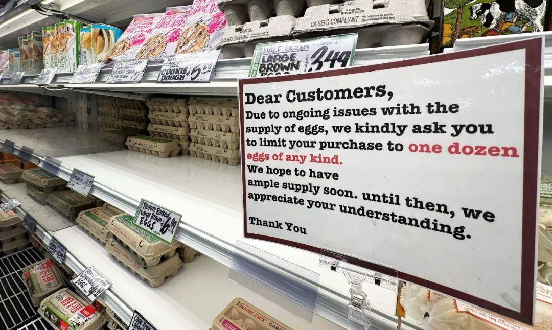 Begging for eggs everywhere! The United States has set its s